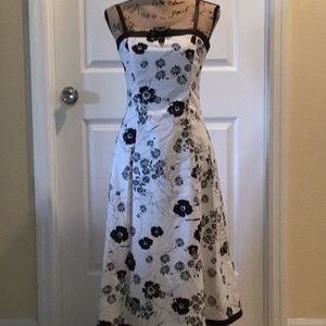 Dress barn summer dress excellent condition